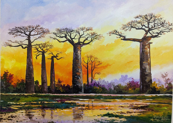 Baobab Mody Masoandro